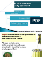 Protein Structures Continued Proteins of ECM Collagen of Connective Tissue