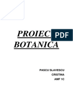 Proiect Botanica