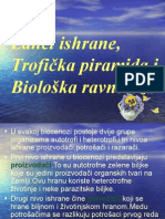 Troficka Piramida