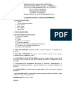 Estructura Del Informe de PP