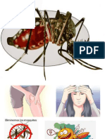 Imagenes Chikungunya