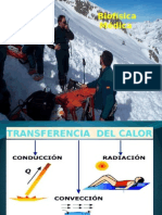 TransferenciaCalorCuerpo