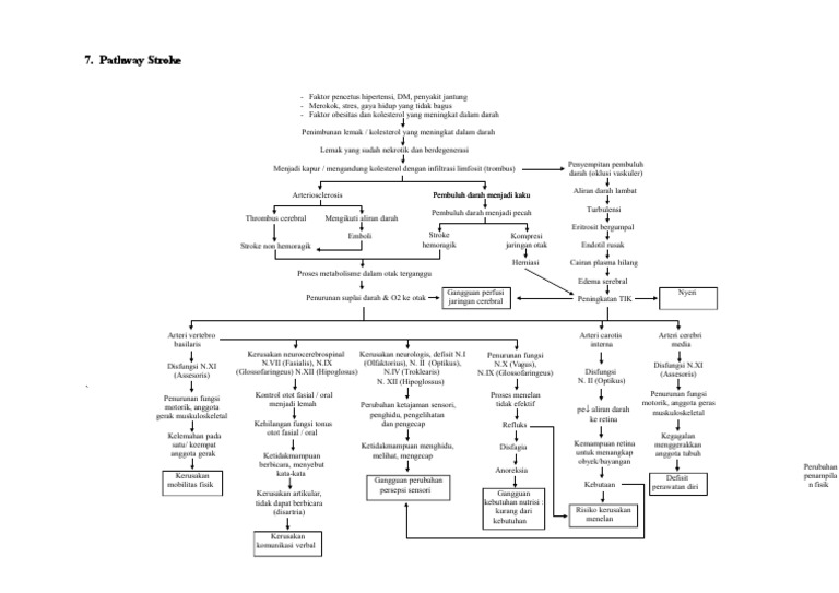 Pathway Stroke | PDF