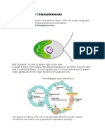 Introduction To Chlamydomonas: The Model System, Chlamydomonas