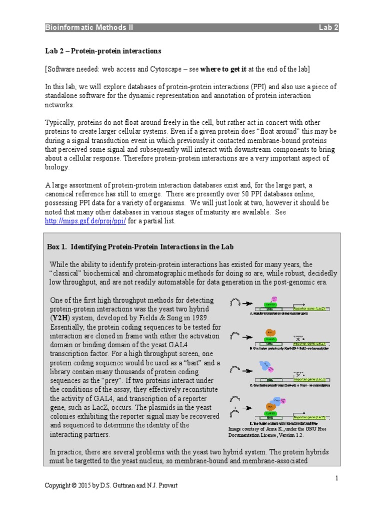 Coursera BioinfoMethods-II Lab02 | PDF | Protein–Protein Interaction ...