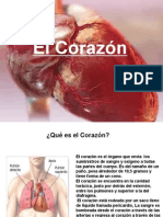 Fisiologia Del Corazon