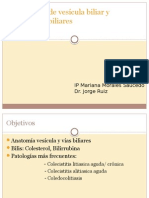 Patologia de Vesicula y Vias Biliares