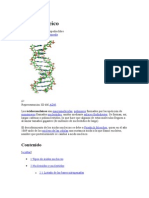 Ácido nucleico