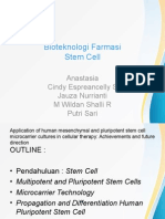 Stem Cell-Kelompok 3