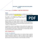 Granja de Producción y Comercilizacion de Mojarra Tilapia