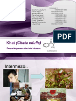 Chatinone Presentation(Fix)