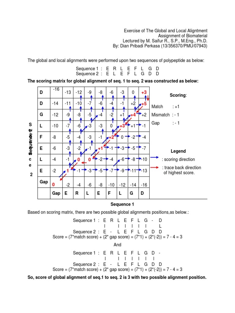 Global vs Local Sequence Alignment Exercise | PDF