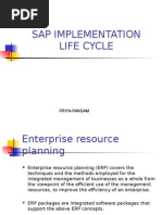 Sap Implementation