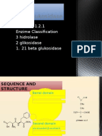 Beta Glukosidase Enzim