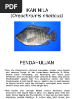 Download IKAN NILA by Kristine Dwi Puspitasari SN257526200 doc pdf