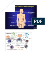 El Sistema Inmunitario