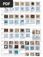 Mycology Colour Atlas 2 | PDF | Fungus | Yeast