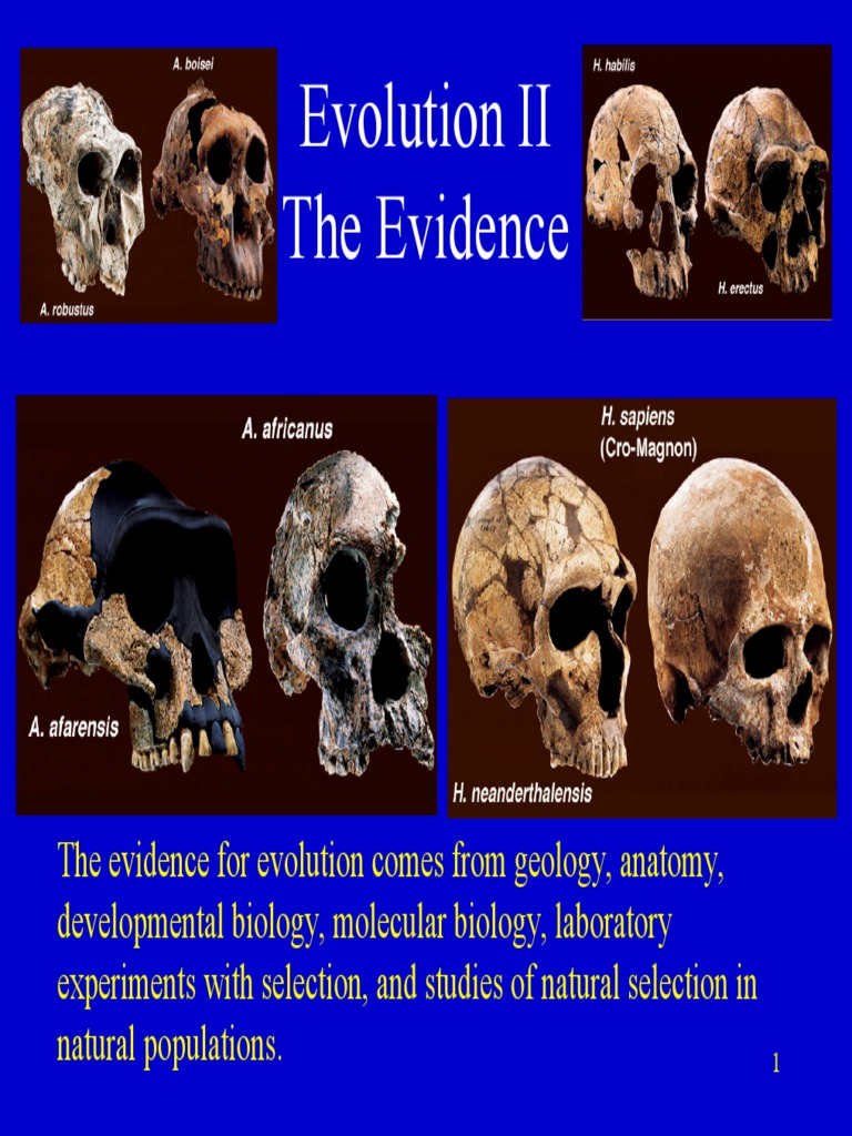 Evidence For Evolution | PDF | Homology (Biology) | Evolution