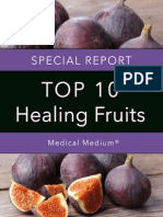 Healing Fruits Report