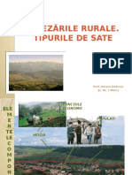 asezarile_rurale.pptx