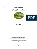 Semut Rangrang PPT Entomologi PDF