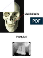 Radiography 2