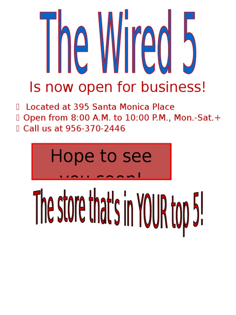 W1red Flyer | PDF