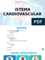 Sistema Cardiovascular