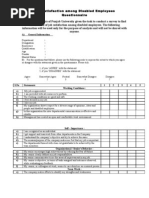 Job Satisfaction Among Disabled Employees Questionnaire