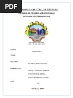 Informe de Cuenca Chira