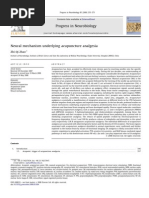 Neural Mechanism of Acupuncture