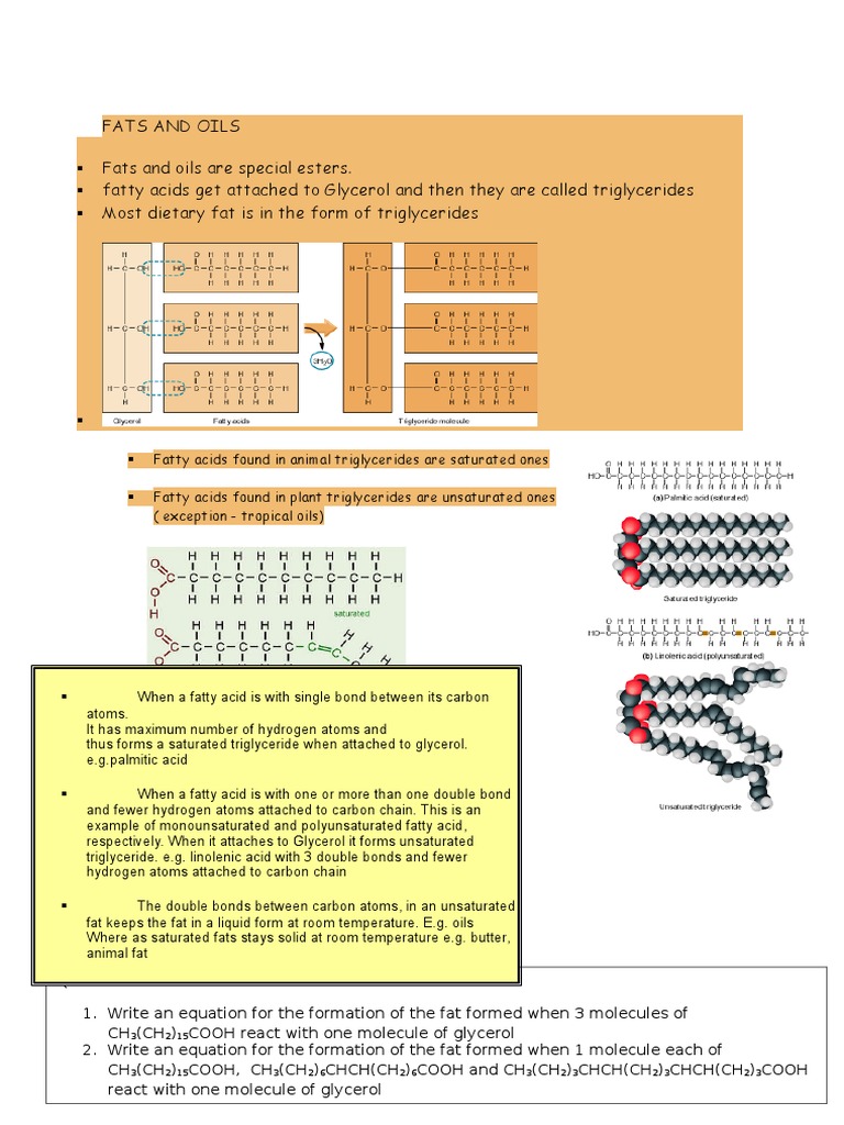 Fats and Oils Notes PDF