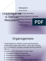 SPH Organogenesis Derivat Mesoderm Siap