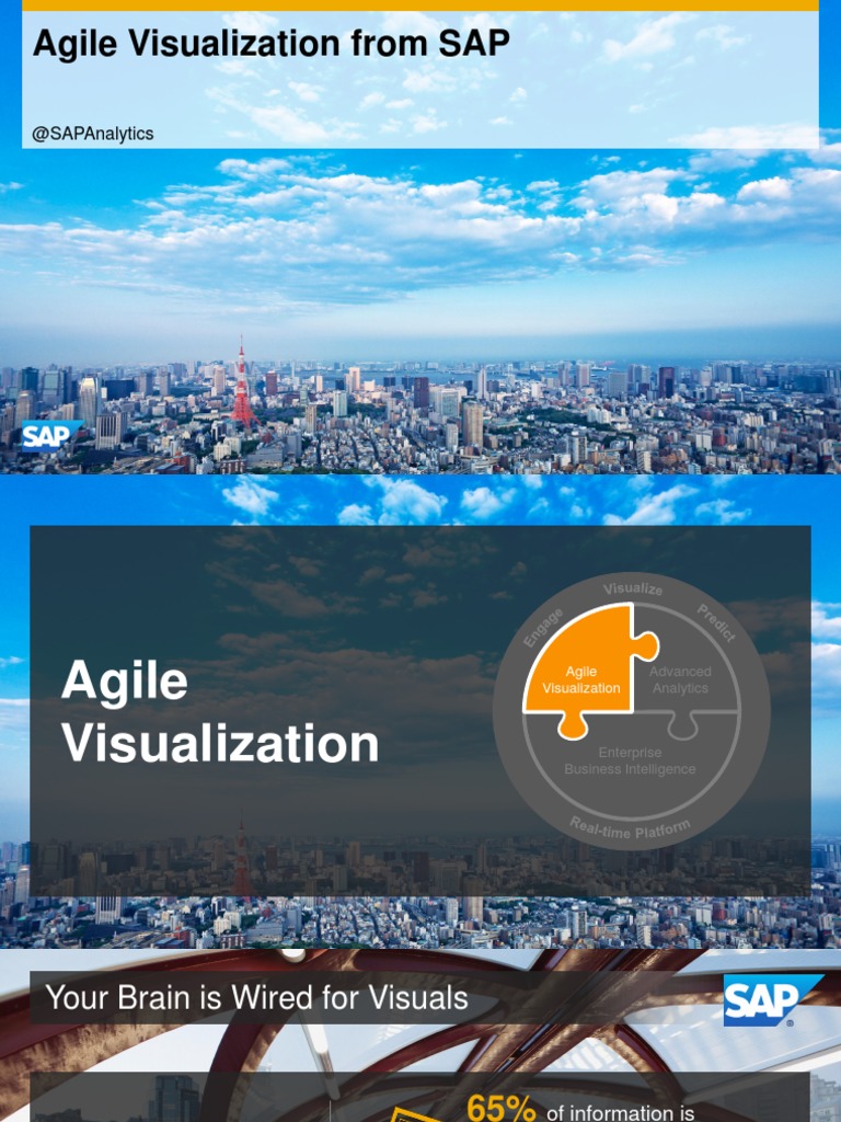 Agile Data Visualization with SAP | PDF