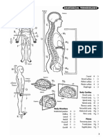 Princeton Review Anatomy Coloring Book PDF