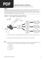 Signal Transduction Pathways POGIL