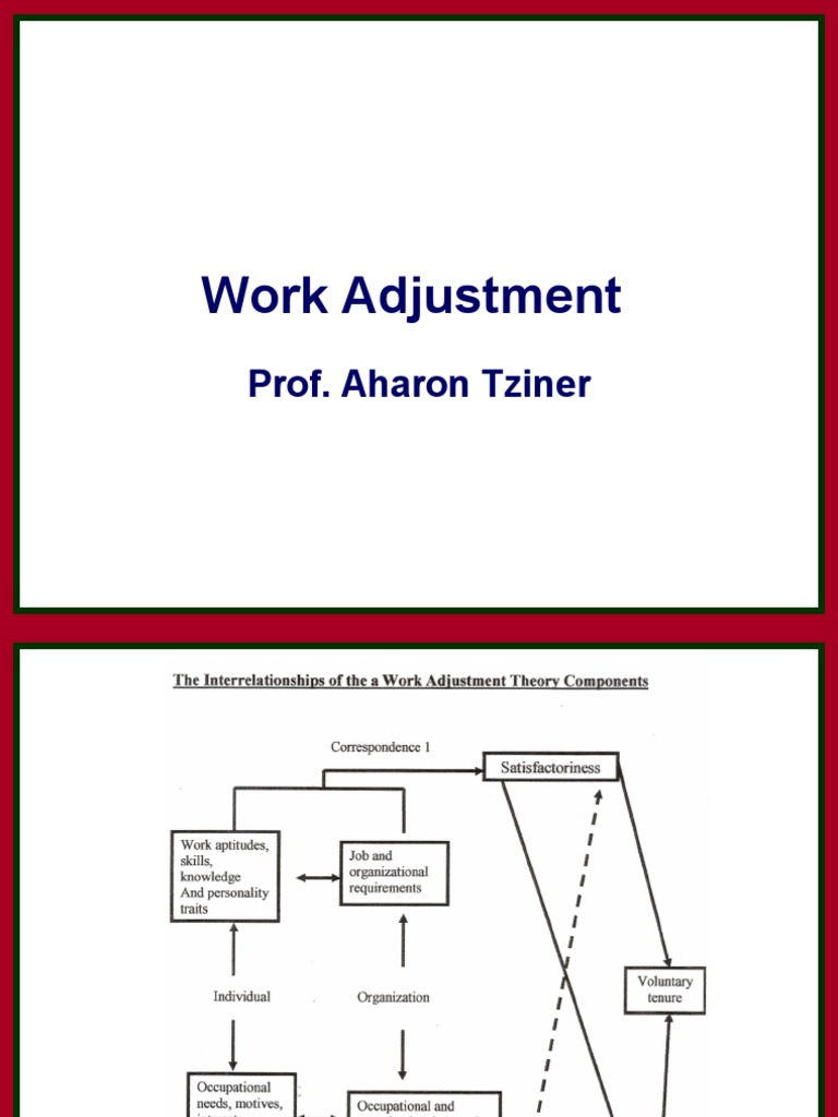 Work Adjustment Insights by Prof. Tziner | PDF