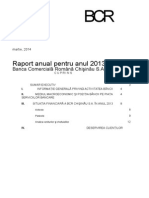 Raport Anual 2013