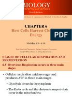 062 Cell Chemical Energy