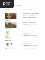 Tempat Pembiakan Nyamuk Aedes
