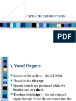 Lecture 3 Speech Production