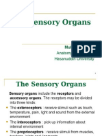 Sensory Organs
