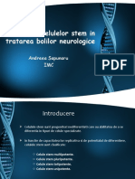 Utilizarea Celulelor Stem in Tratarea Bolilor Neurologice