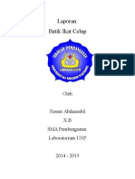 Download Laporan Batik Ikat Celup by Andrew Stewart SN257650629 doc pdf