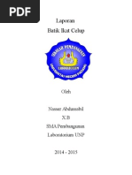 Download Laporan Batik Ikat Celup by Andrew Stewart SN257650629 doc pdf