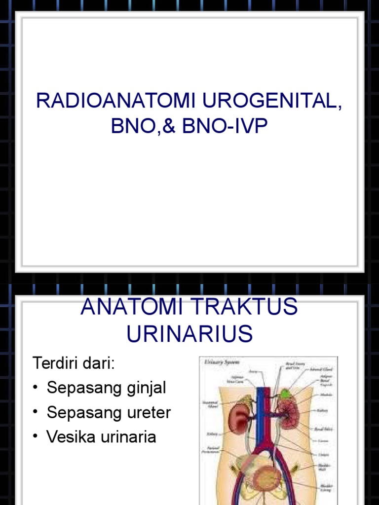 Radioanatomi Gu Bno Ivp