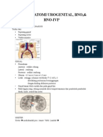 Radioanatomi Urogenital Word