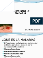 Malaria 13 Set 2013
