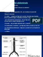 Aorta Abdominală