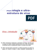 Aula6 Virus
